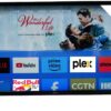 Nesty 40 Inch Full High Definition Netflix Android Smart TV
