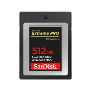 sdcfe 512g gn4nn 301e.jpg