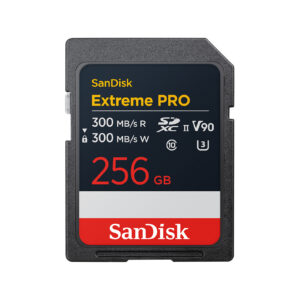 sdsdxdm 256g gn4in e450.jpg