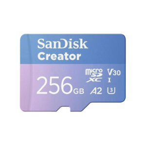 sdsqxav 256g in6ms 1b64.jpg